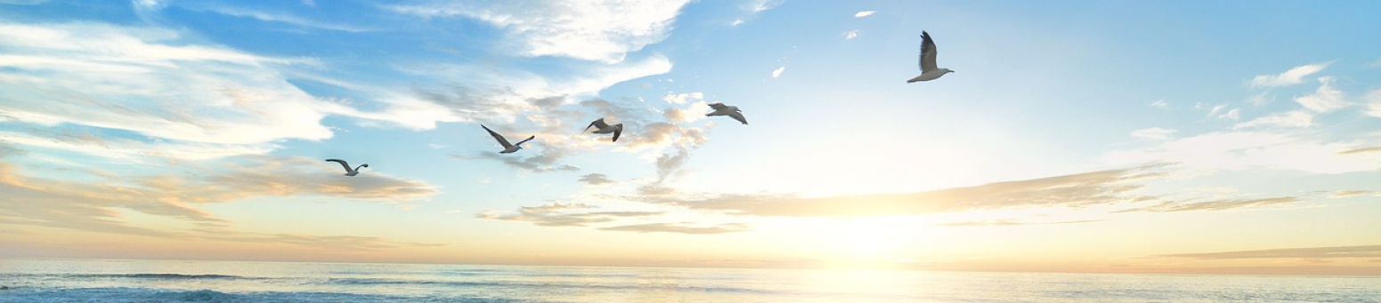 thumbnail of channel Neuer Channel von Jonas